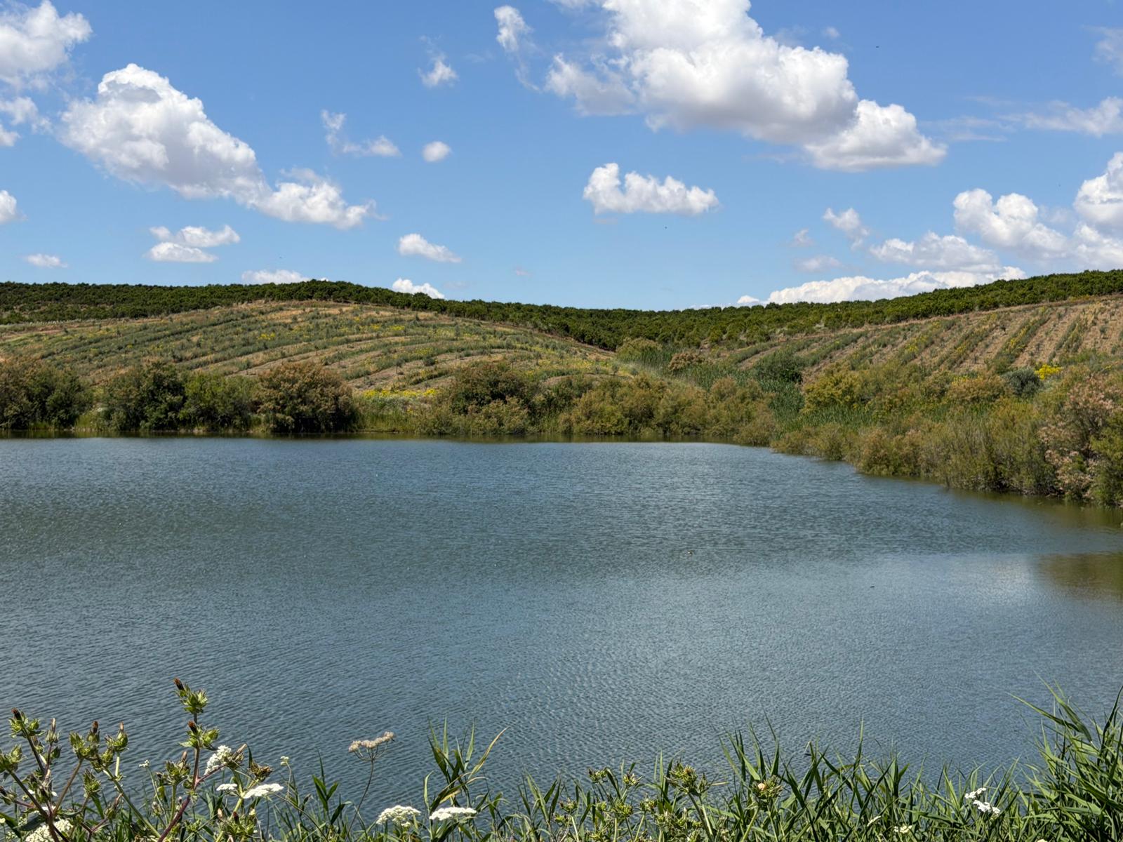Embalse junto a laderas de olivar